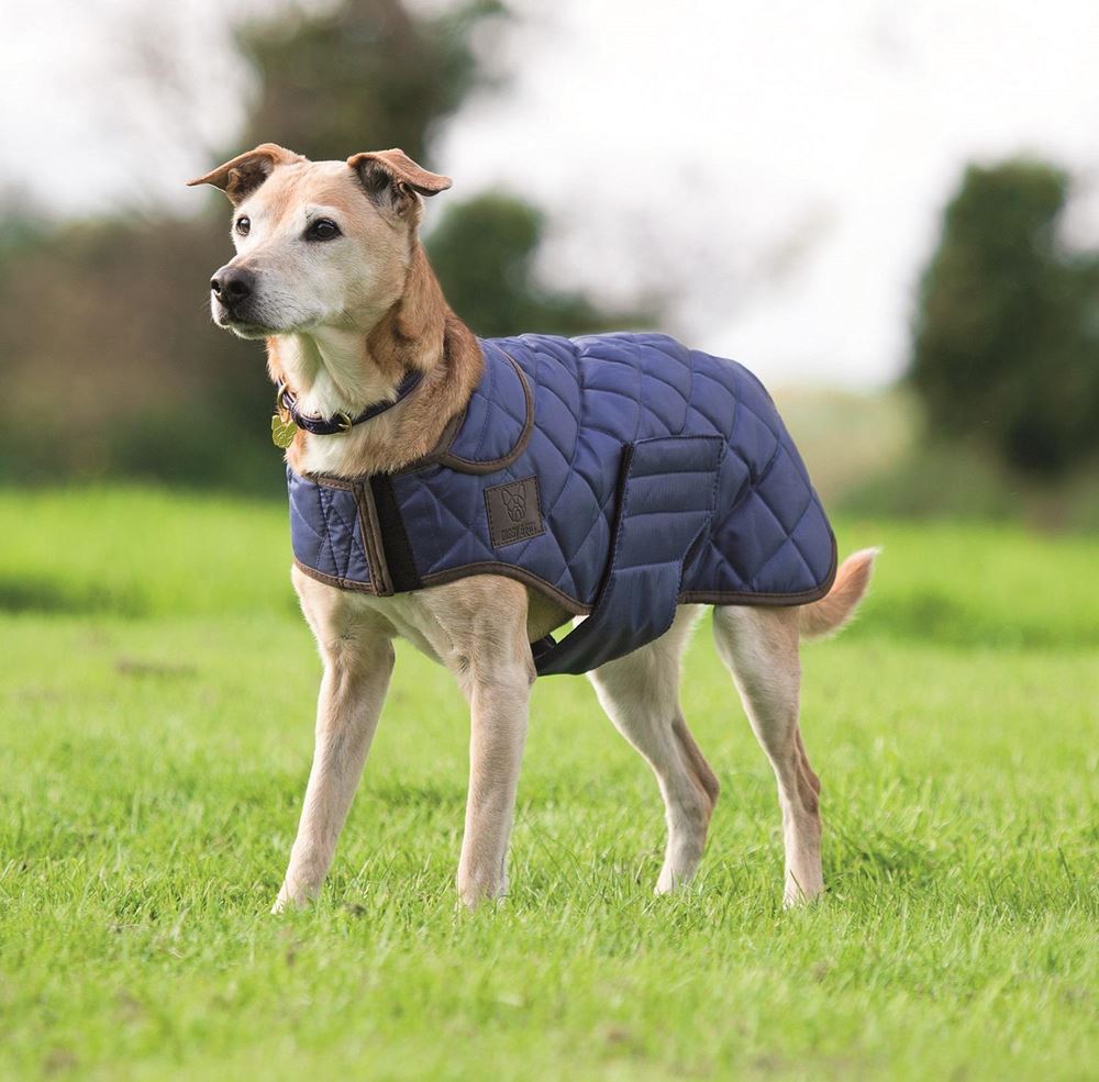 Shires Quilted Dog Coat XXXS-S