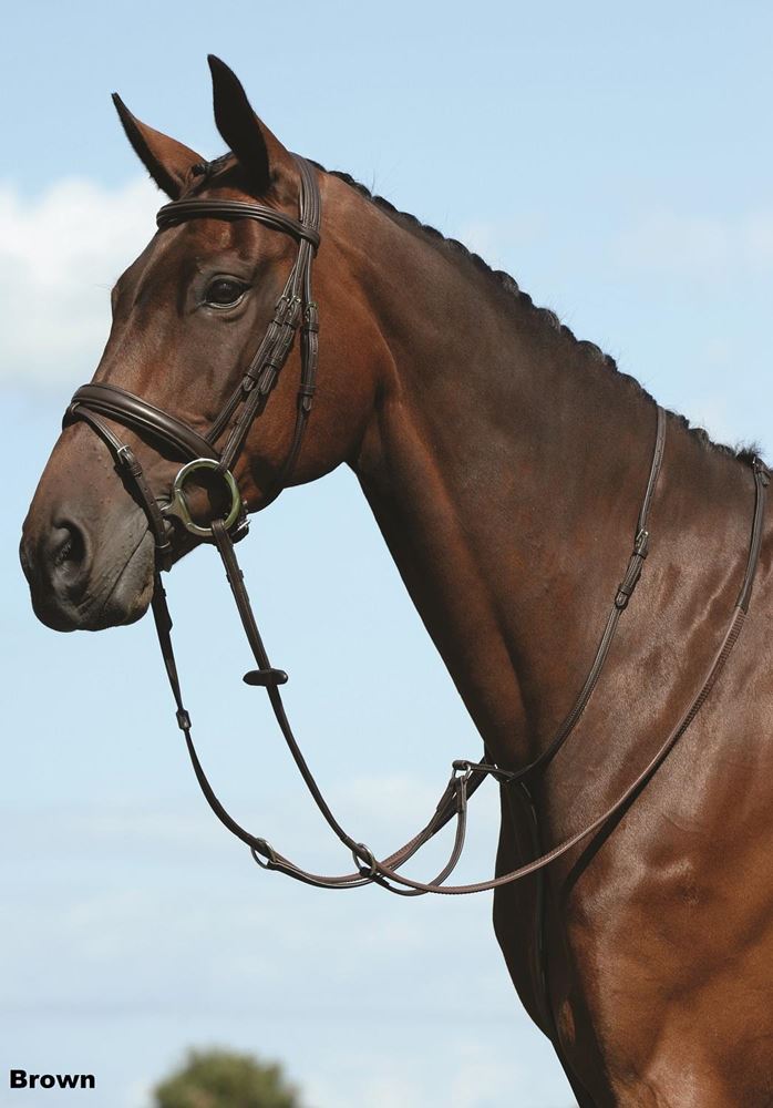 Collegiate Syntovia+ Plain Flat Running Martingale
