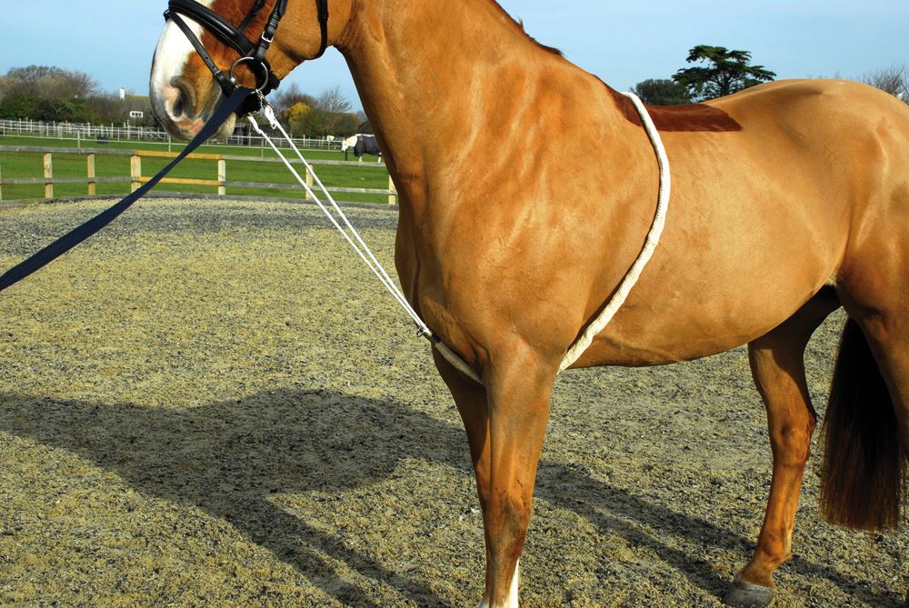 Rhinegold Soft Lunge Aid
