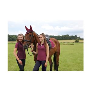 Hy Equestrian Synergy Fly Veil (Fig/Silver)