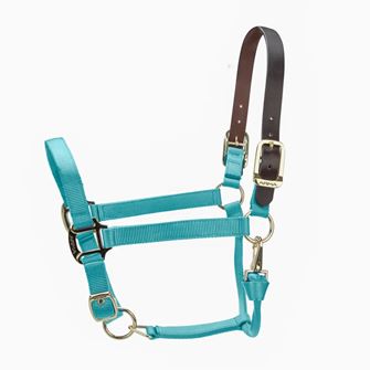 Shires ARMA Premium Adjustable FieldSafe Headcollar (Teal)