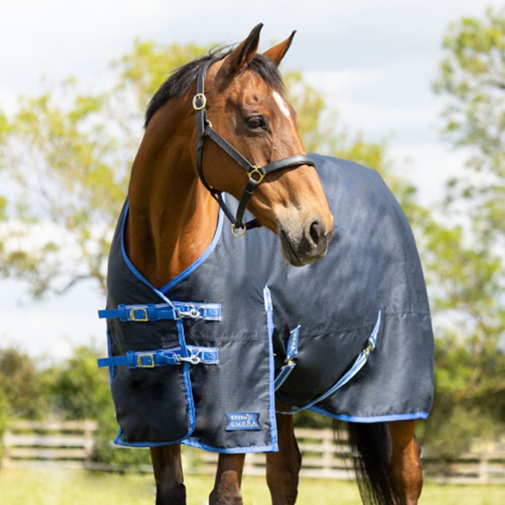 Hy Equestrian StormX Empra Reflect 0g Turnout Rug (Navy)