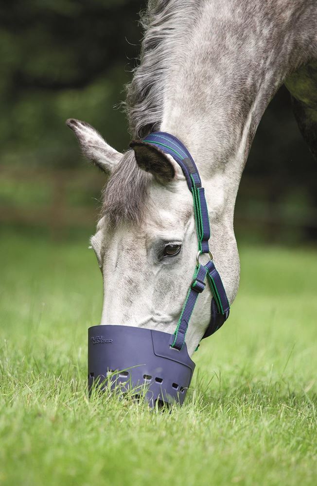 Shires Flexi Grazer Muzzle