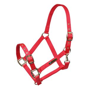 Shires ARMA Adjustable Headcollar (Red)