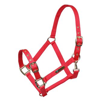 Shires ARMA Adjustable Headcollar (Red)
