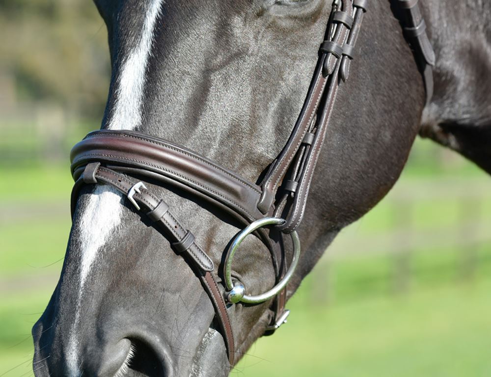 Weatherbeeta Collegiate Comfitec Opulux Plain Padded Hanoverian Flash Bridle