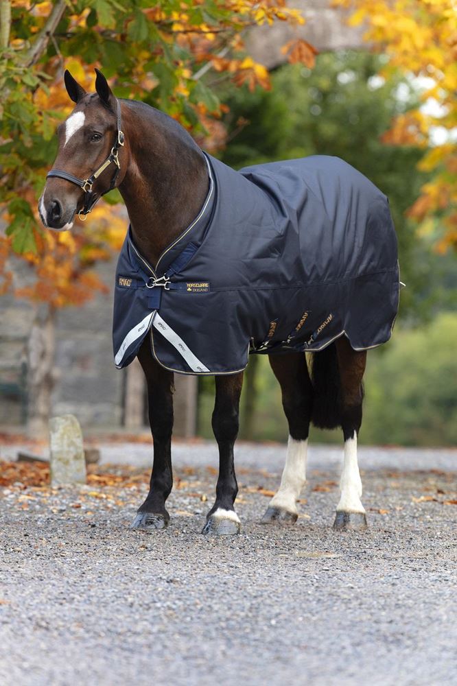 Horseware Amigo Bravo 12 XL Medium 250g (Turnout Rug for Larger Horses)