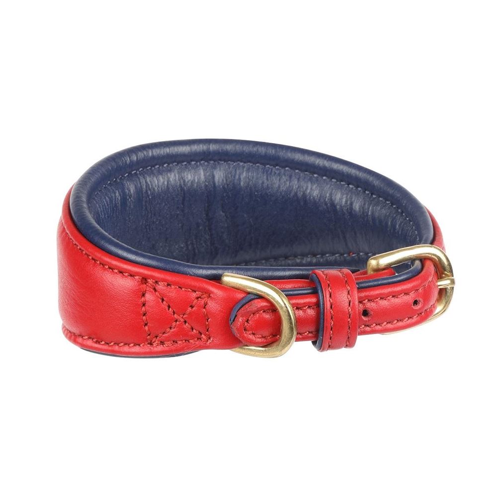 Shires Digby & Fox Padded Leather Greyhound Collar - S, XS (Scarlett)