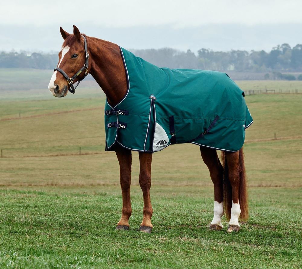 Weatherbeeta Comfitec Plus Dynamic Turnout High Neck - 220g (Forest Green/Navy)