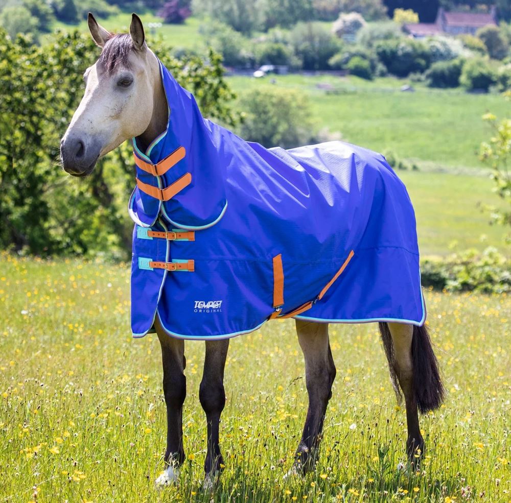 Shires Tempest Original 50g Combo Turnout Rug (Royal)