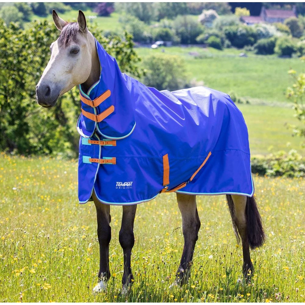 Shires Tempest Original 50g Combo Turnout Rug (Royal)