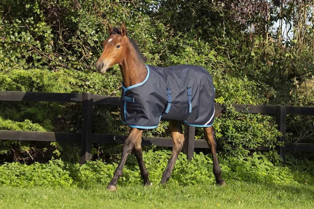 Horseware Amigo Ripstop Adjustable Foal Turnout Rug 200g