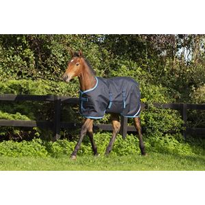 Horseware Amigo Ripstop Adjustable Foal Turnout Rug 200g