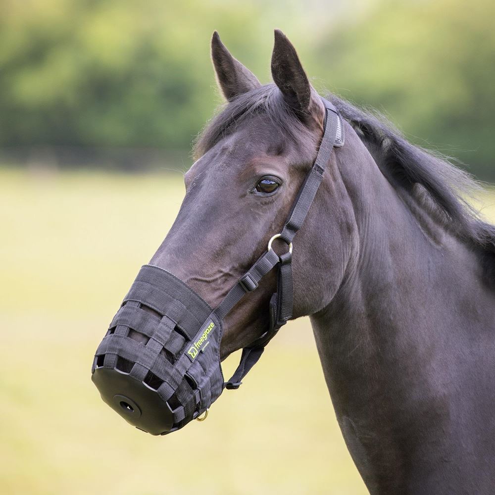 Shires FreeGraze Comfort Grazing Muzzle