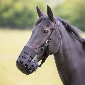 Shires FreeGraze Comfort Grazing Muzzle