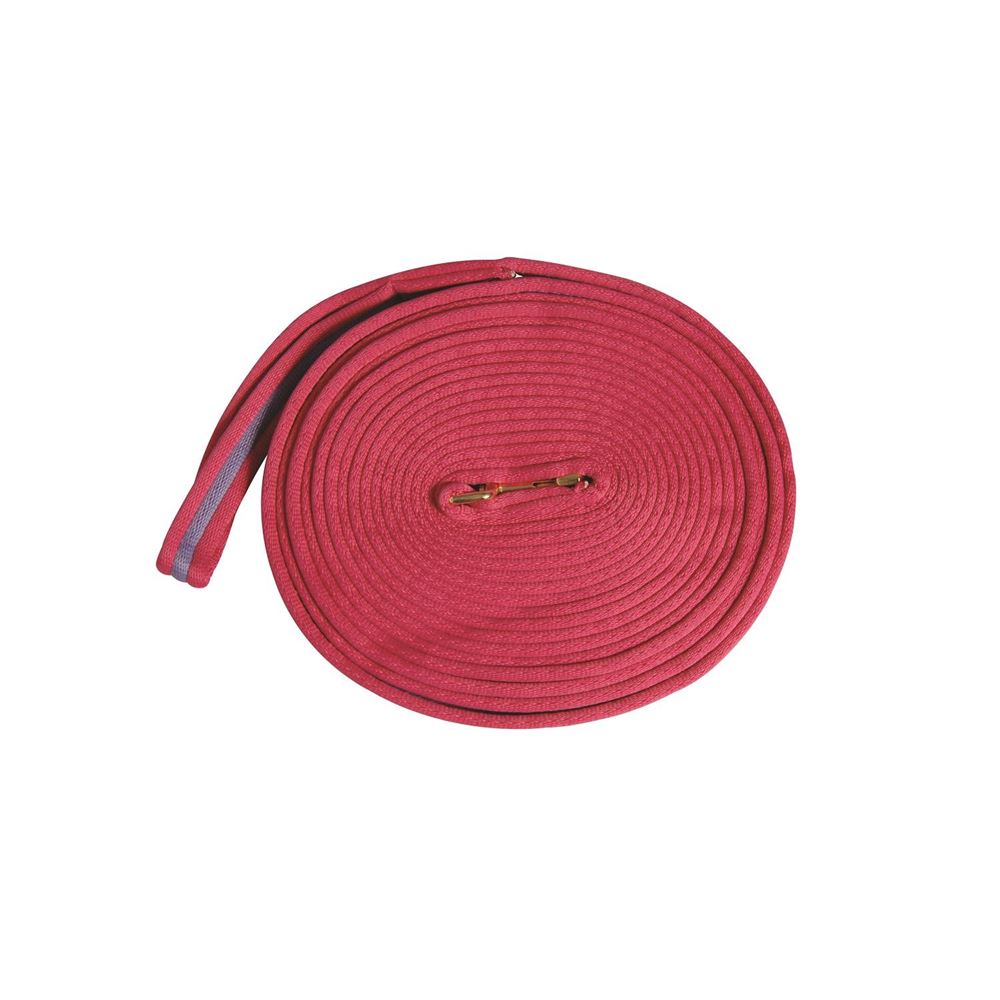 Kincade 2 Tone Padded Lunge Rein
