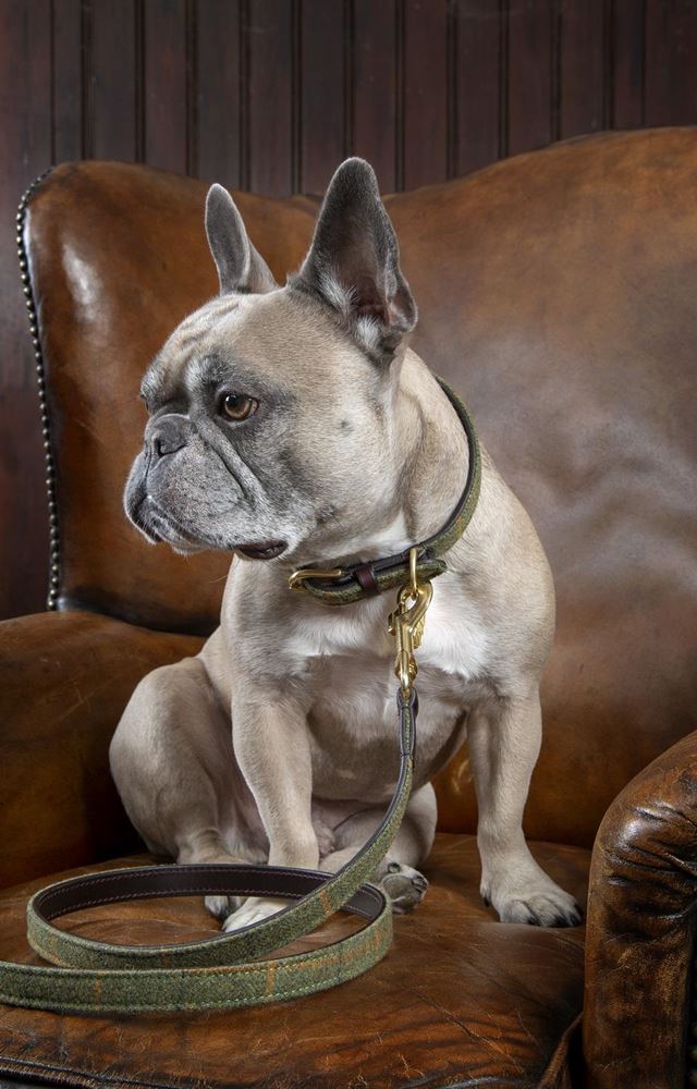 Shires Digby & Fox Tweed and Leather Dog Lead