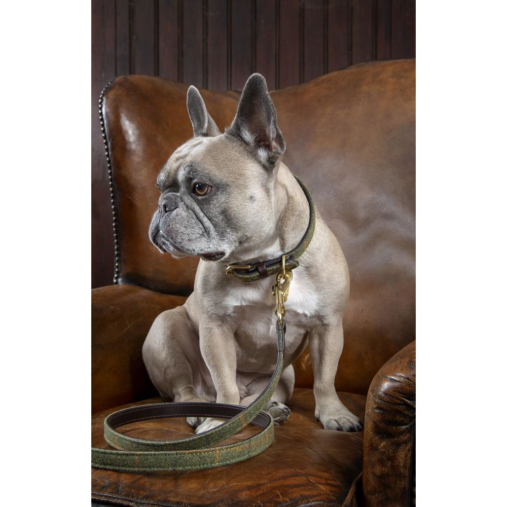 Shires Digby & Fox Tweed and Leather Dog Lead
