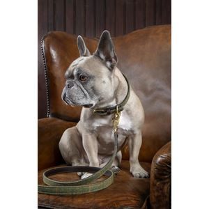 Shires Digby & Fox Tweed and Leather Dog Lead