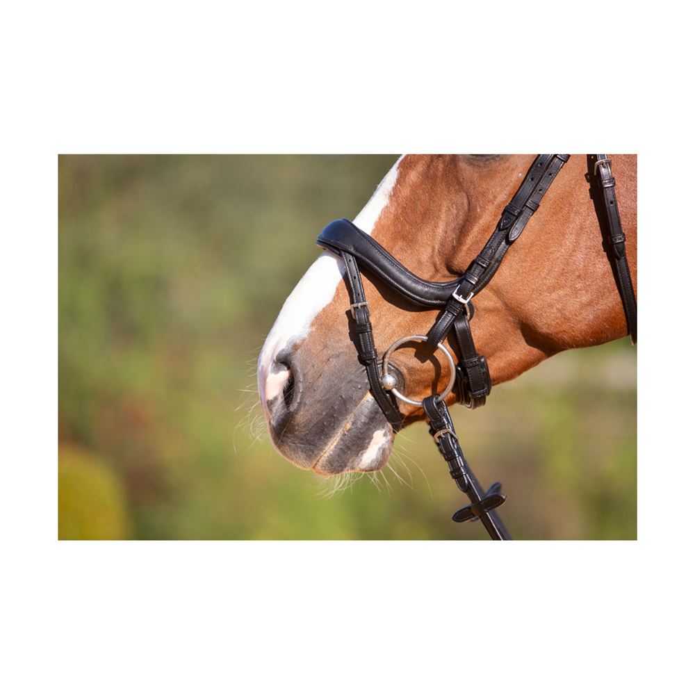 Kieffer Ultrasoft Amy Snaffle Bridle