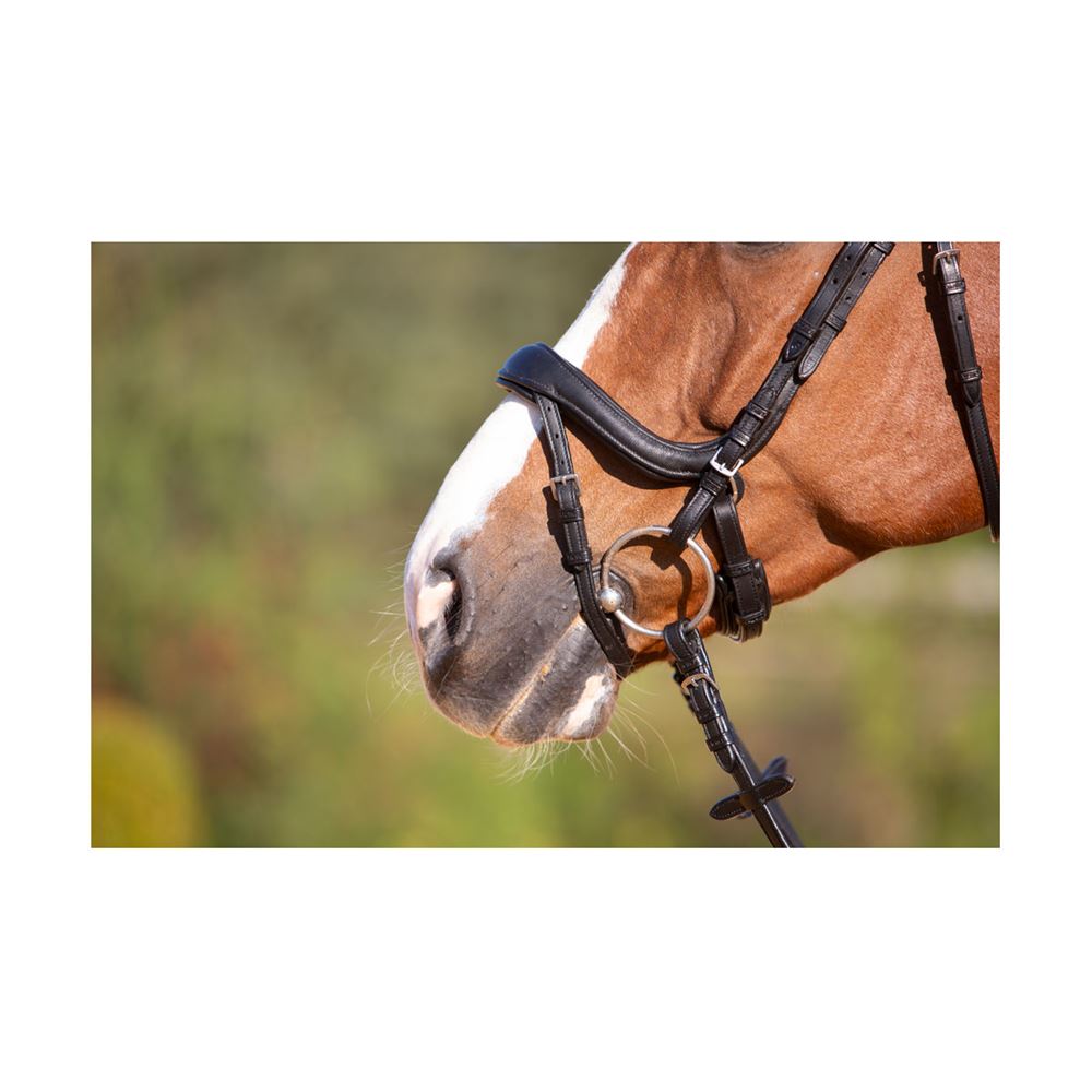 Kieffer Ultrasoft Amy Snaffle Bridle