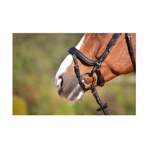 Kieffer Ultrasoft Amy Snaffle Bridle