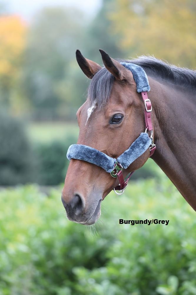 Shires Fleece Lined Headcollar