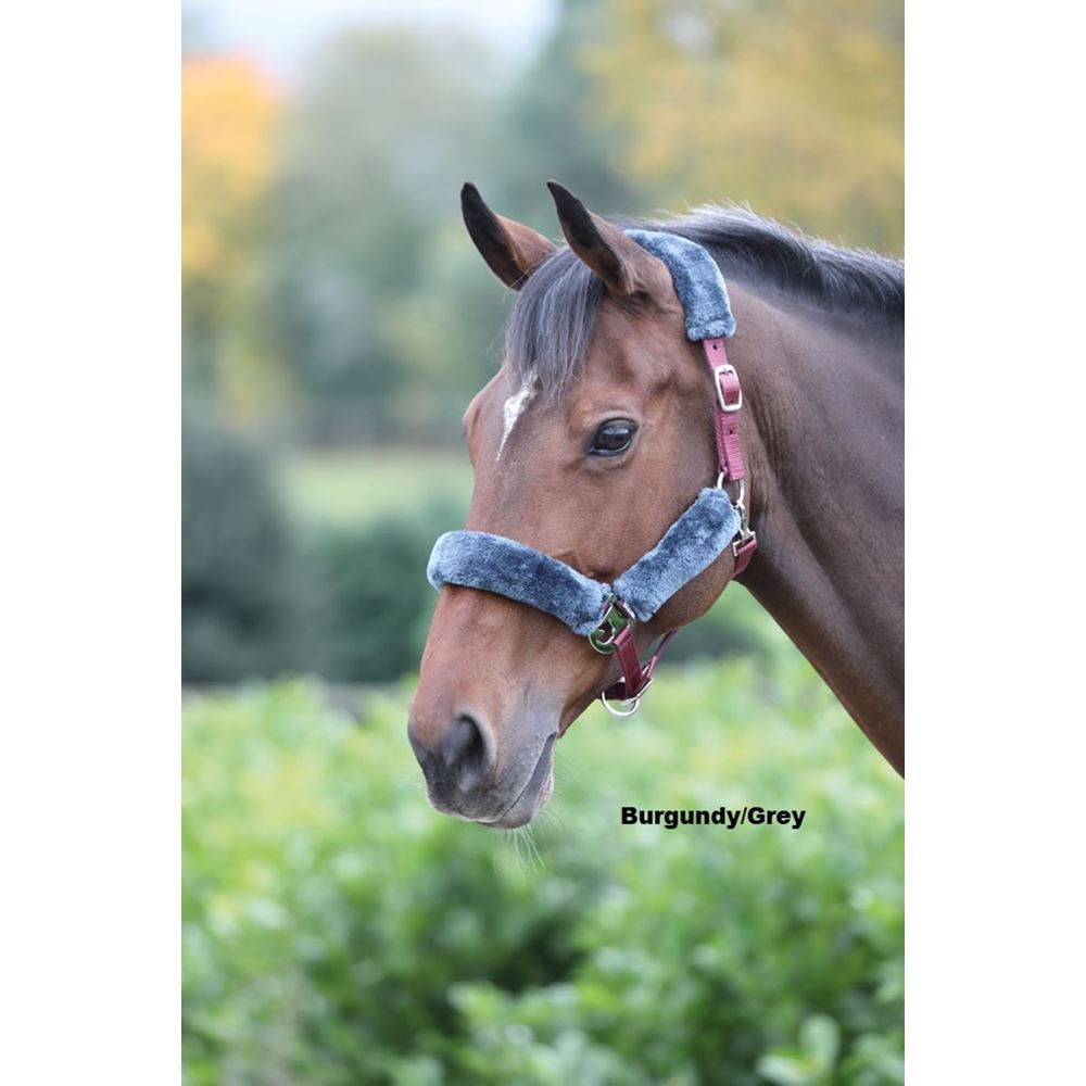 Shires Fleece Lined Headcollar