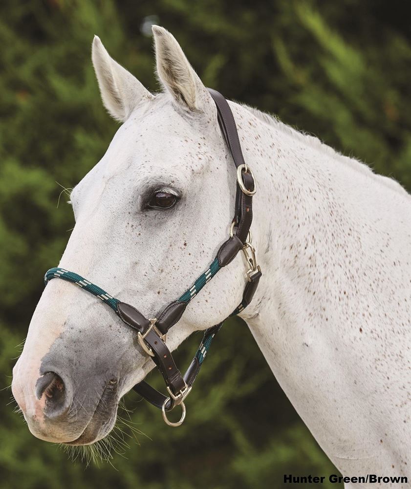 Kincade Leather Rope Headcollar