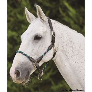 Kincade Leather Rope Headcollar
