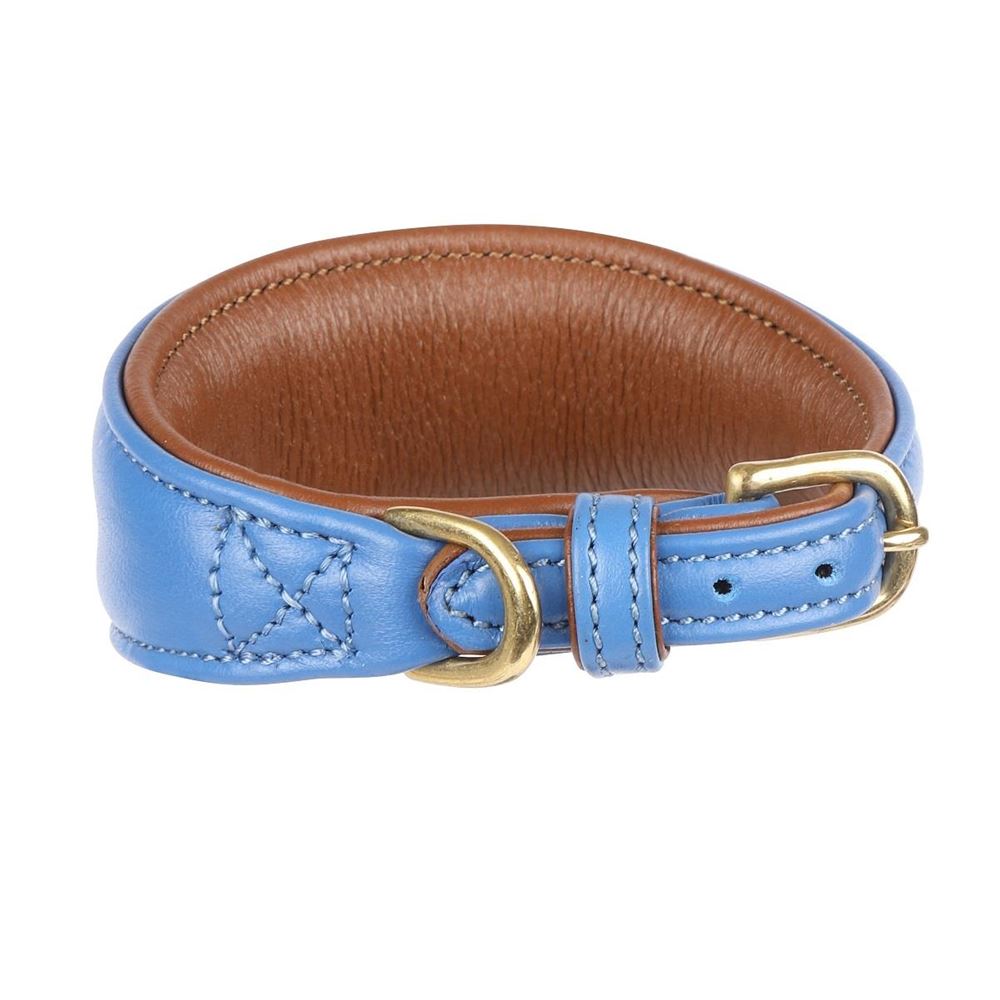 Shires Digby & Fox Padded Leather Greyhound Collar - M, L (Royal)