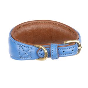 Shires Digby & Fox Padded Leather Greyhound Collar - M, L (Royal)