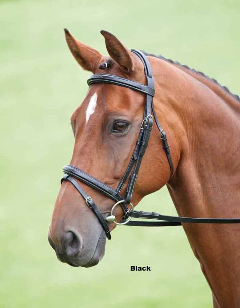 Shires Salisbury Bodenham Flash Bridle