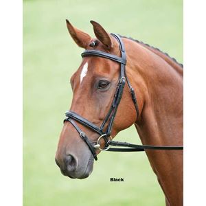 Shires Salisbury Bodenham Flash Bridle