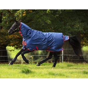 Horseware Amigo Mio All in One Heavy Turnout 350g 