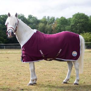 Gallop Ponie Burgundy Jersey Cooler Rug
