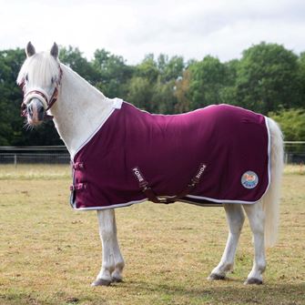 Gallop Ponie Burgundy Jersey Cooler Rug