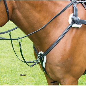 Shires Avignon 5 Point Breastplate