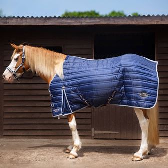 Gallop Trojan 300g Stable Rug (Navy/Grey Bindings)