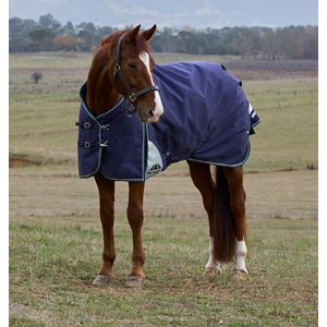 Weatherbeeta Comfitec Plus Dynamic Turnout Standard - 0g (Navy/Forest Green)