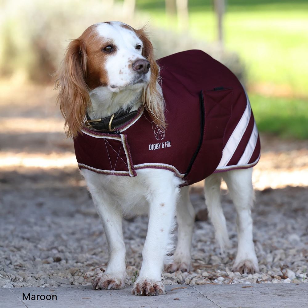 Shires Digby & Fox Waterproof Dog Coat (M)