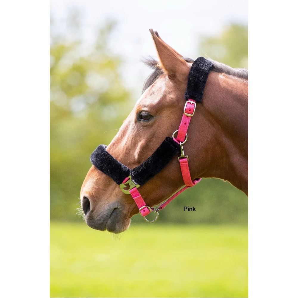 Shires Fleece Lined Headcollar