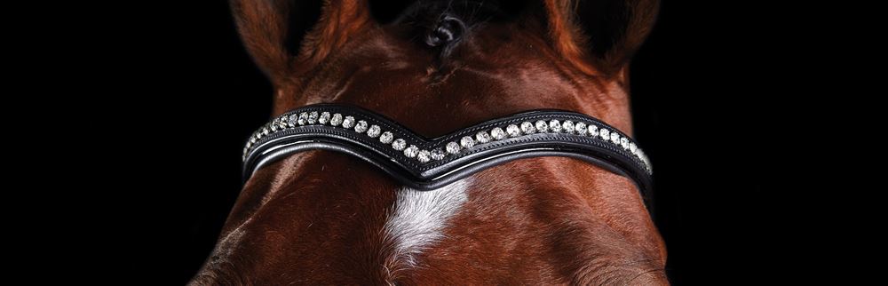 Collegiate Comfitec Patent Replacement Browband