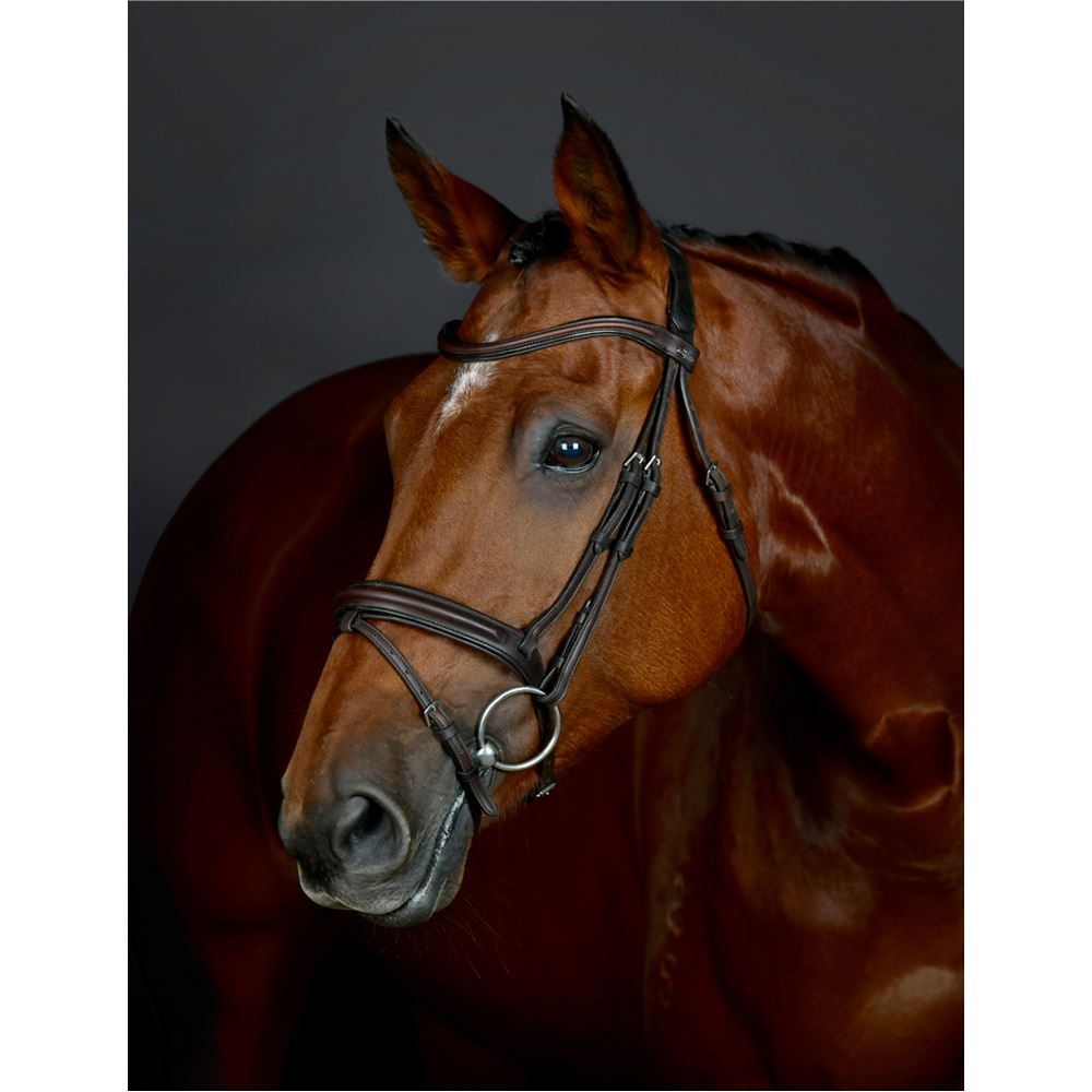 Weatherbeeta Collegiate Comfitec Opulux Plain Padded Hanoverian Flash Bridle