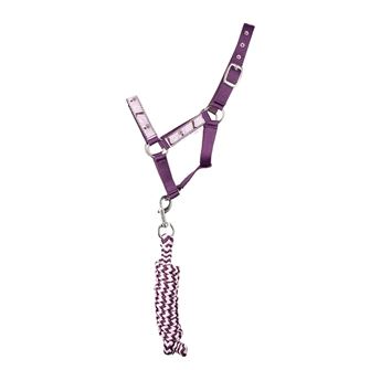 Giddy Up Gymkhana Head Collar & Lead Rope Set by Little Rider (Purple/Lilac)
