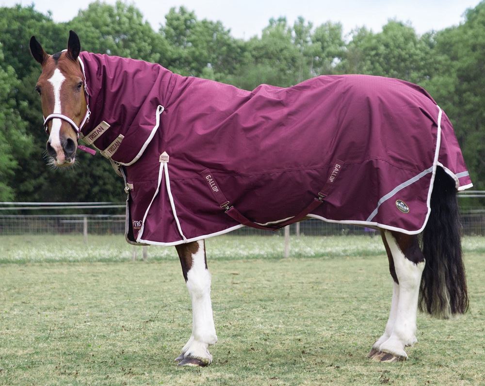 Gallop TROJAN Xtra Duraproof 100g Turnout Combo (Burgundy with Beige/White bindings)