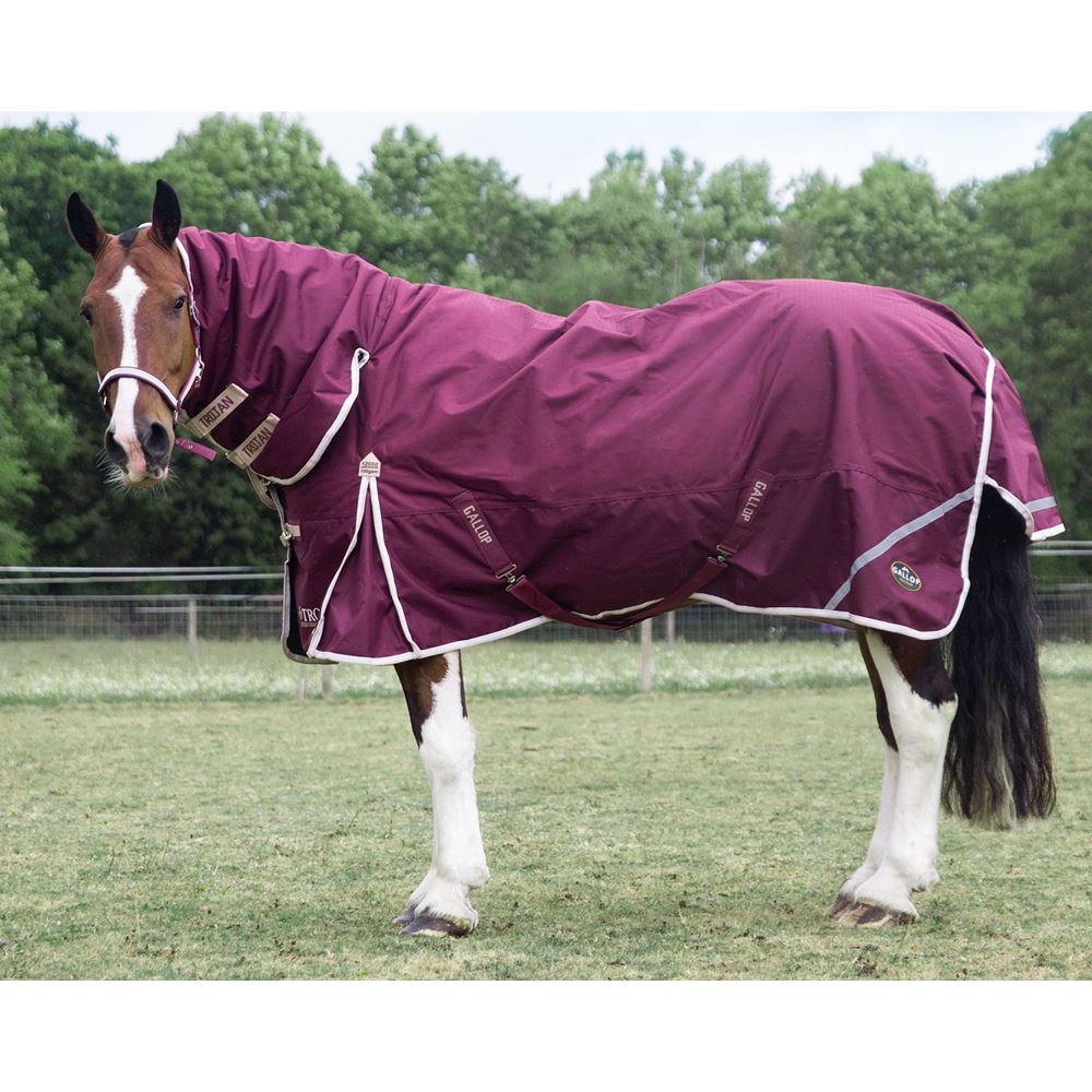 Gallop TROJAN Xtra Duraproof 100g Turnout Combo (Burgundy with Beige/White bindings)