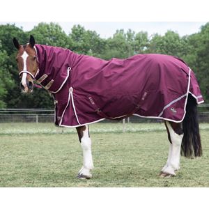 Gallop TROJAN Xtra Duraproof 100g Turnout Combo (Burgundy with Beige/White bindings)