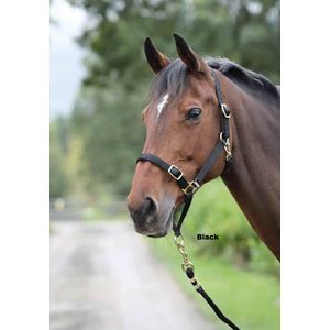 Shires Control Headcollar