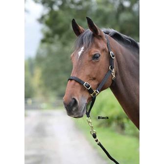 Shires Control Headcollar